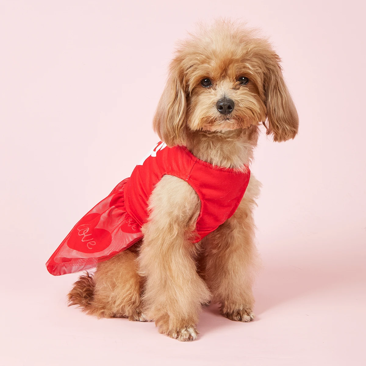 Vestido para perros pequeños, disfraz de besos con estampado de corazón, ropa para cachorros con tul, ropa cómoda para perros y gatos, ropa de San Valentín - imagen 2