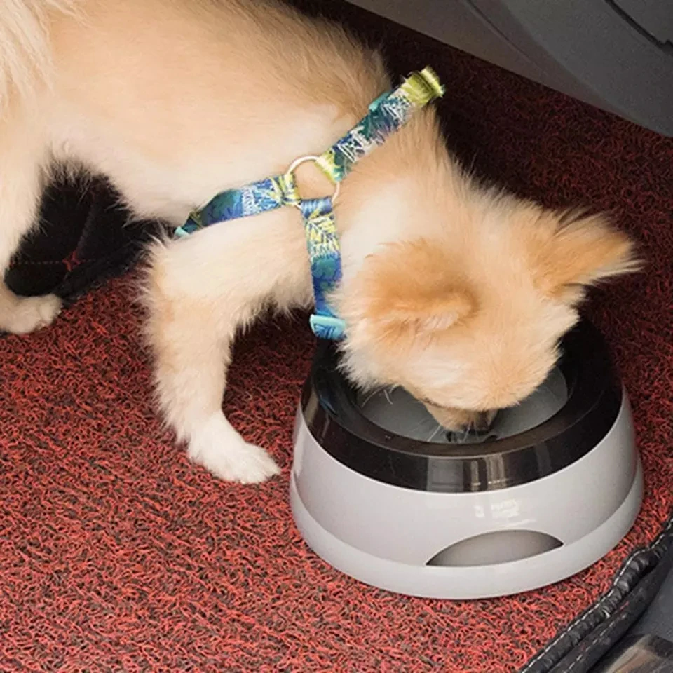 Cuenco flotante de agua para mascotas sin derrames, alimentador para beber en la boca seca, cuenco portátil antihumectante para perros y gatos para viajes y uso al aire libre