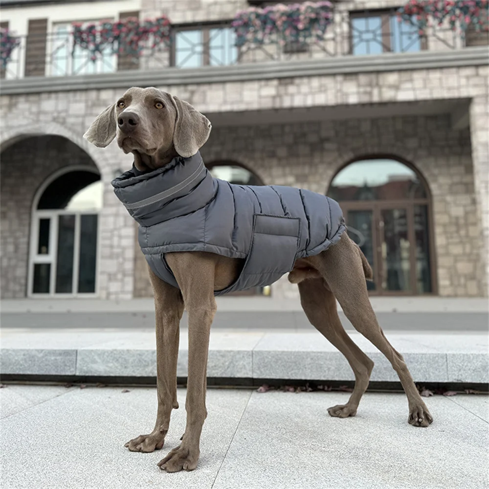 Chaqueta probada en perro de raza grande