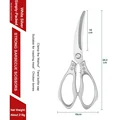 Scissors B