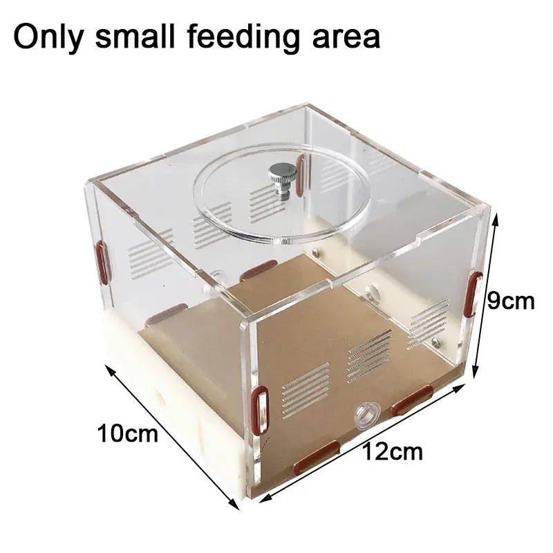 Small feeding area