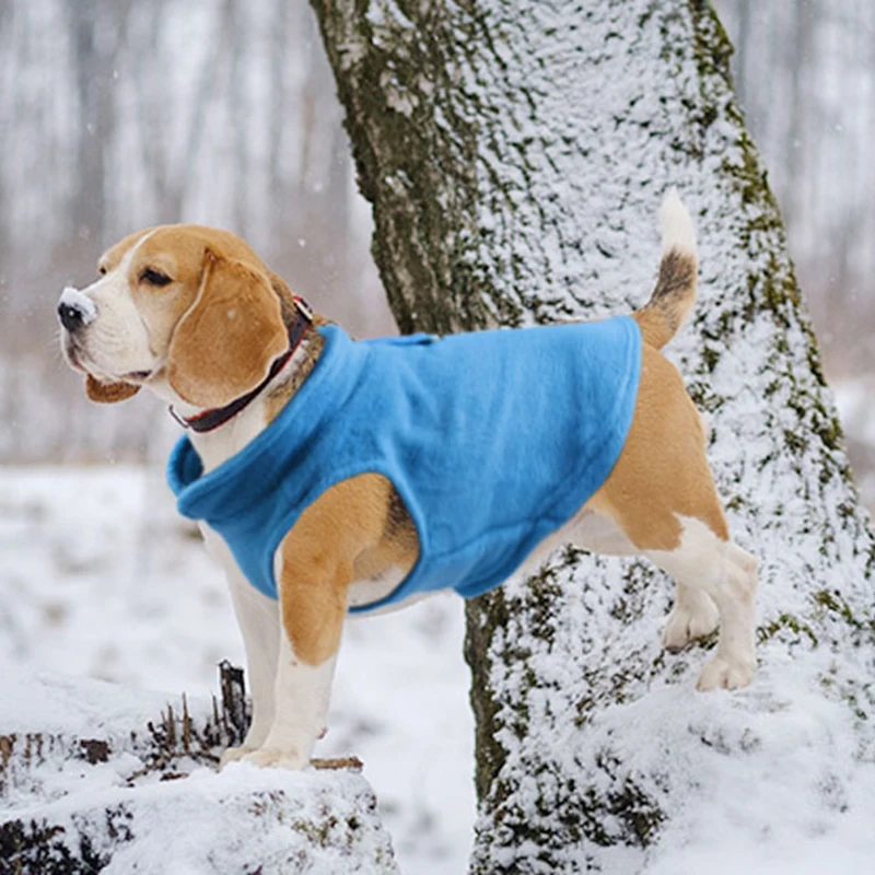 Jersey cálido, sudadera con capucha de lana para perros con anillo en D, ropa de invierno para cachorros, sudadera suave para mascotas, chaleco y abrigo para otoño e invierno - imagen 5
