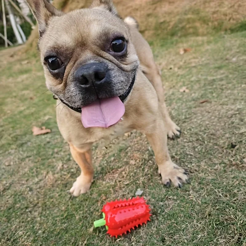 Juguetes rompecabezas para perros, juguetes para masticar de goma, bonito juguete dispensador de alimentos para limpieza de dientes, juguete interactivo de bola, juguetes de enriquecimiento - imagen 5