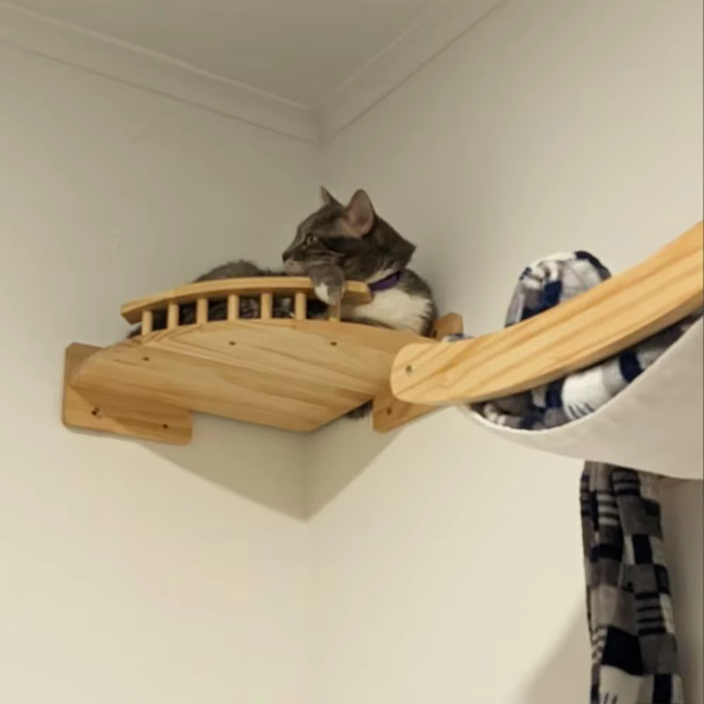 Estructura de pared para gato con rascador y plataformas