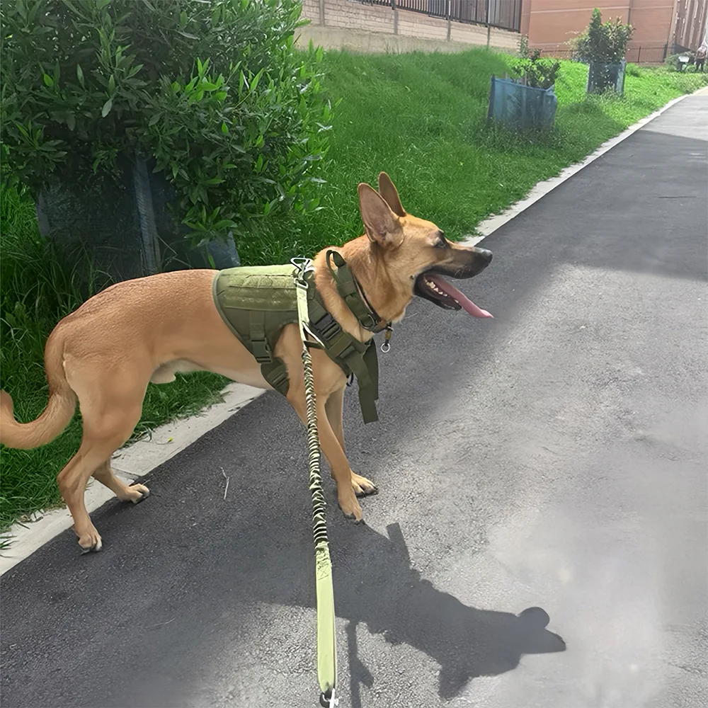 Conjunto de arnés y correa para perros de estilo táctico, chaleco para mascotas con sistema Molle, arnés de nailon para perros medianos y grandes, entrenamiento de senderismo y caminar - imagen 5