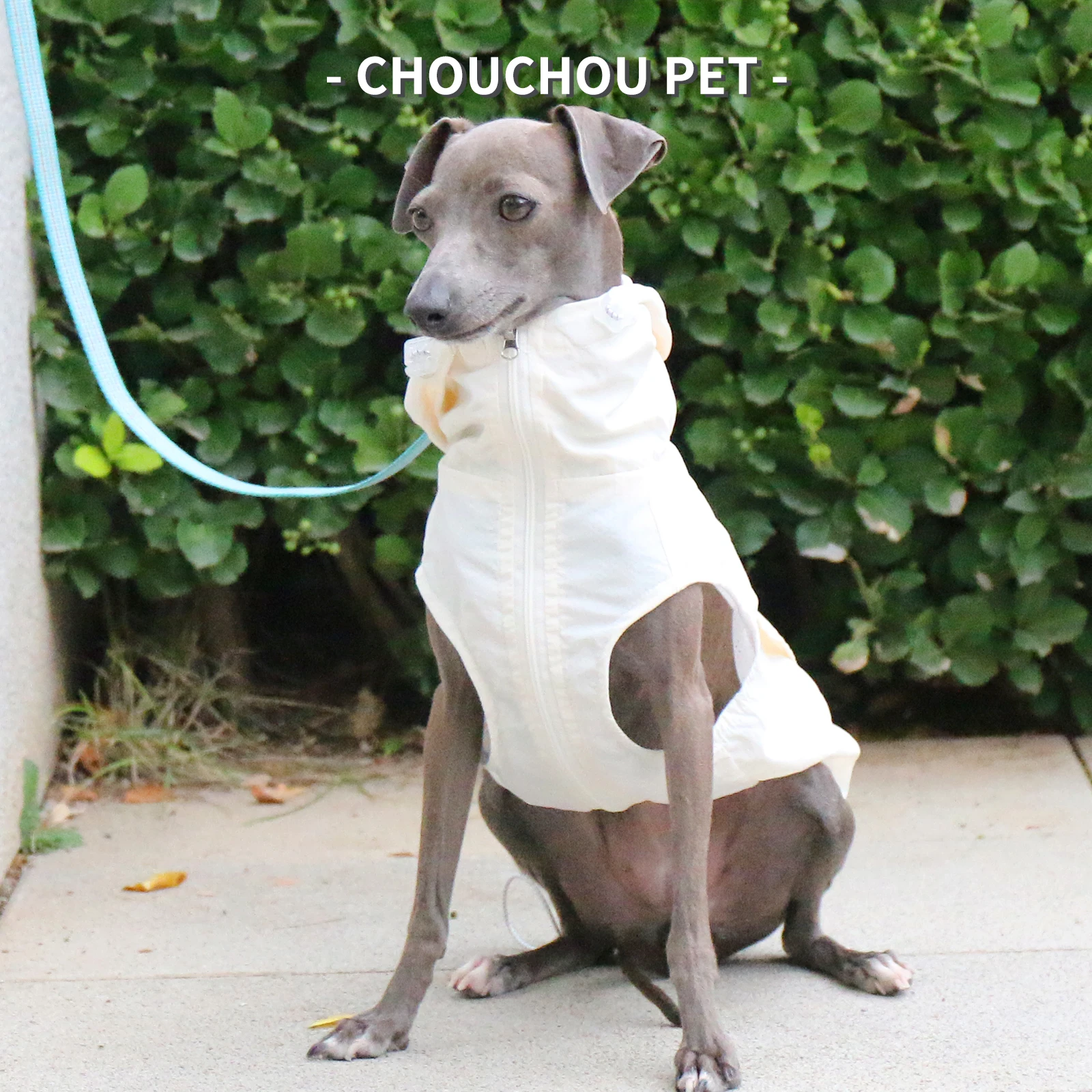 Otoño galgo Whippet Iggy chaleco con capucha para mascotas impermeable e impermeable ropa para perros con cremallera ajustable