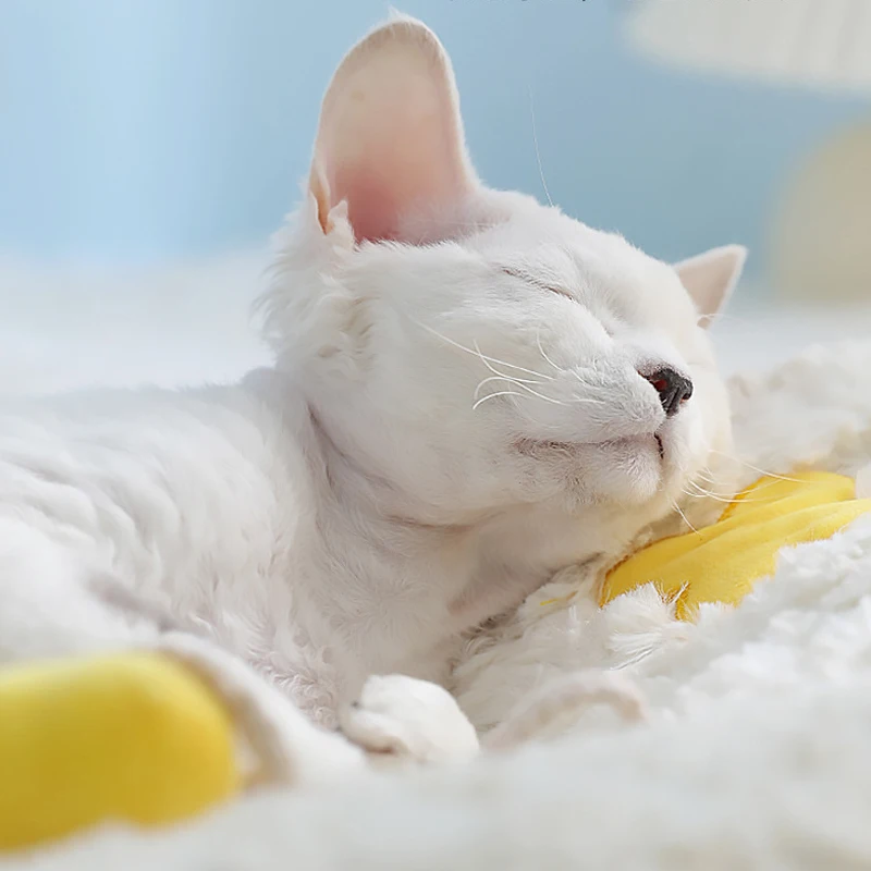 Cama de felpa suave para gato y perro, cojín calmante y autocalentable, para mejora del sueño, bonito conejo - imagen 2