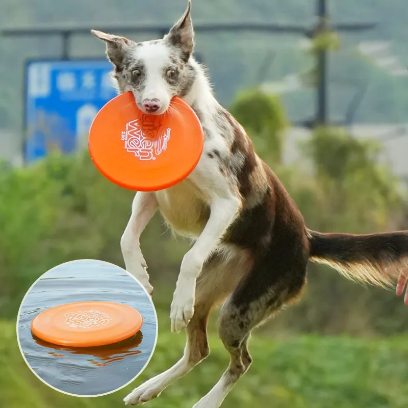 Disco volador resistente a mordidas para entrenar perros - imagen 4
