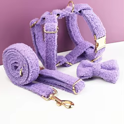 Collar y correa de terciopelo para perro con placa personalizada