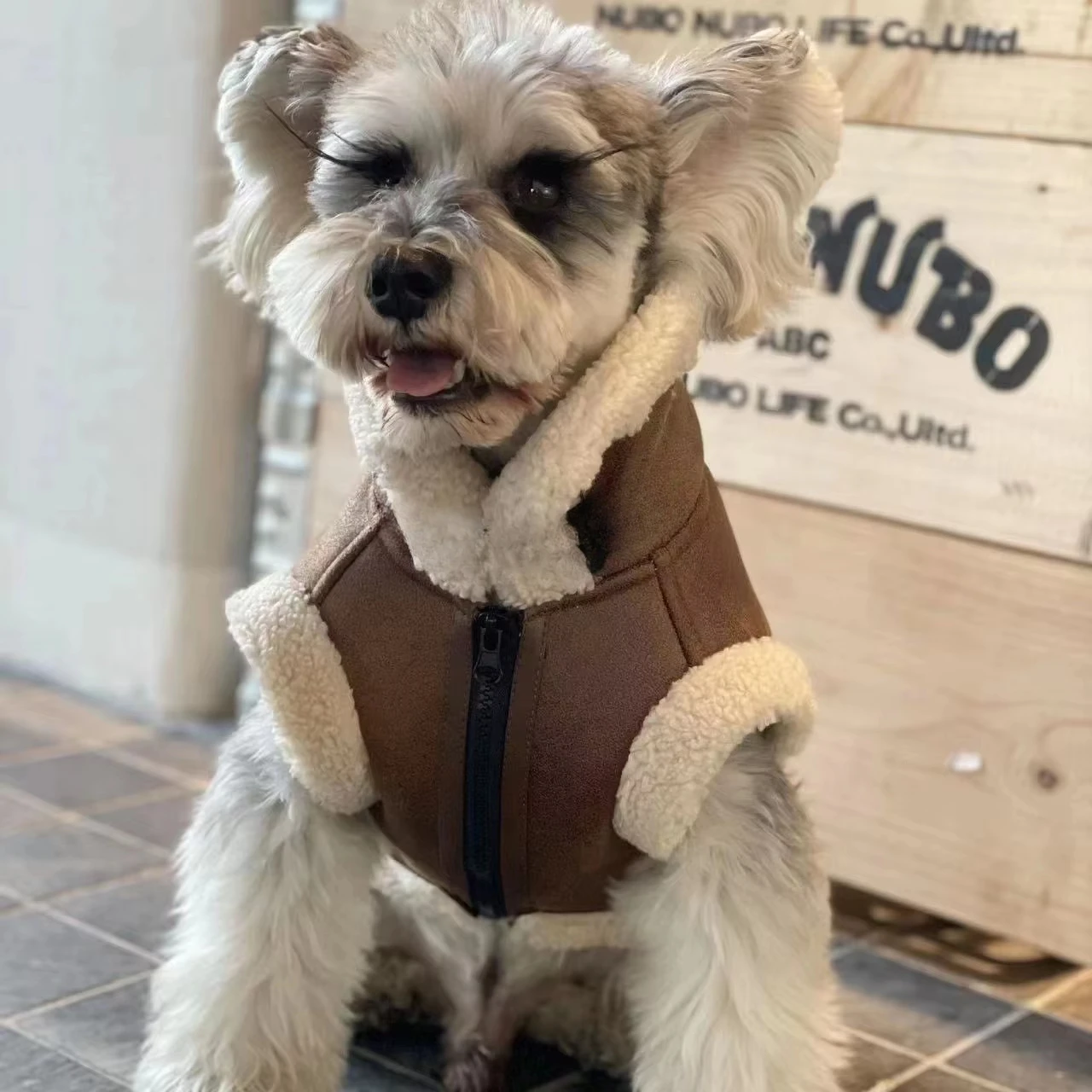 Chaleco sin mangas de terciopelo para otoño e invierno para mascotas, abrigo de piel de una pieza, chaleco grueso para perros Bichon Schnauzer, ropa para cachorros pequeños - imagen 5