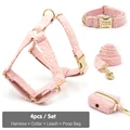 Harness Collar Set