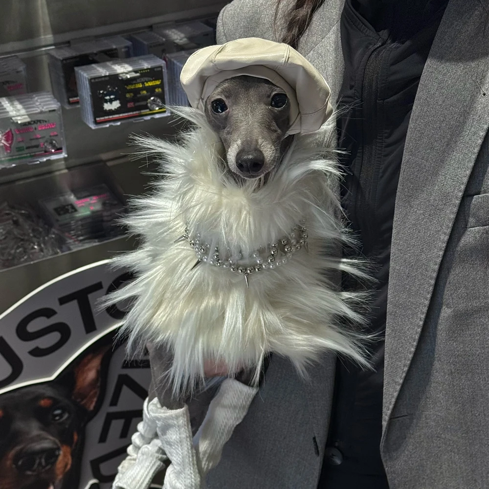Abrigo de felpa para Galgo Italiano y Whippet – Suéter blanco invierno - imagen 4