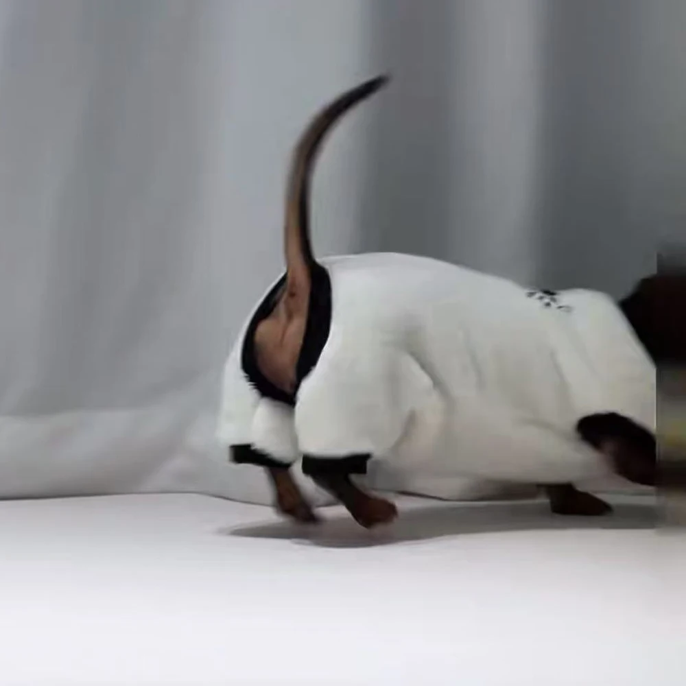 Ropa de invierno para perros salchicha - Mono felpa suave - imagen 3
