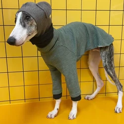 Ropa de primavera para perros: galgo italiano y Whippet, cuello alto