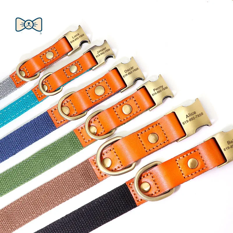 Conjunto de correa de nailon para perros, Collar de cuero con etiqueta de identificación para mascotas, cuerda de plomo para caminar de 5 pies para perros Pug - imagen 4