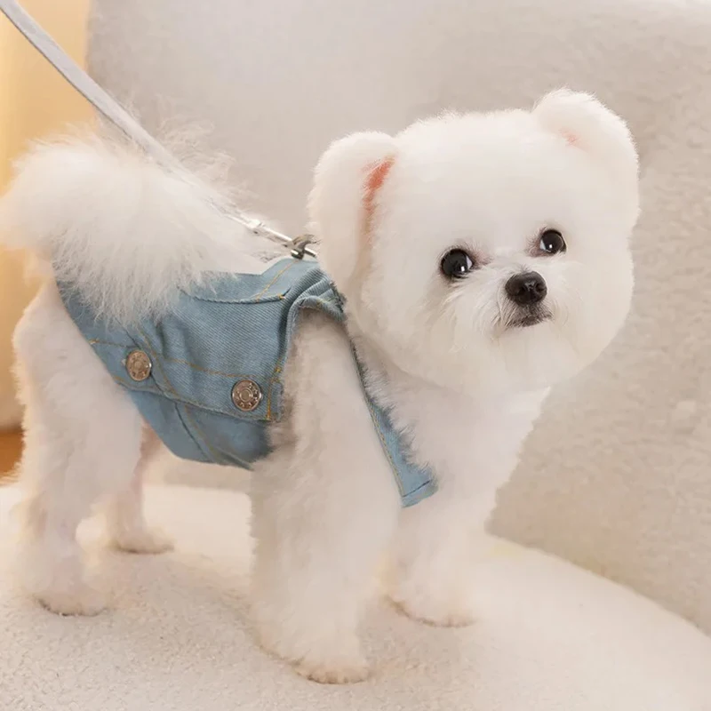 Accesorios para mascotas, ropa para mascotas, vestidos para perros, suministros pequeños y suaves, sudadera, ropa, vestido para Chihuahua York, disfraz mediano - imagen 5