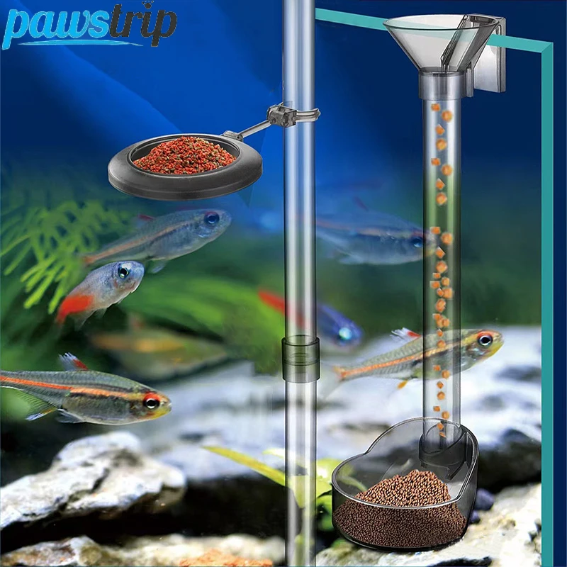 Alimentador de peces transparente, juego de plato de tubo de alimentación de camarones con anillos de alimentación, juego de alimentador de tanque de peces para cangrejos, peces, animales acuáticos
