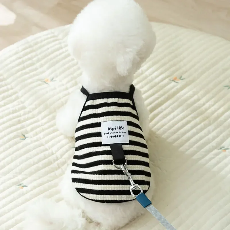 Ropa tejida a rayas para mascotas, ropa para perros, camiseta sin mangas para gatos, Teddy de Pomerania, ropa de primavera para cachorros pequeños, disfraz para perros - imagen 2