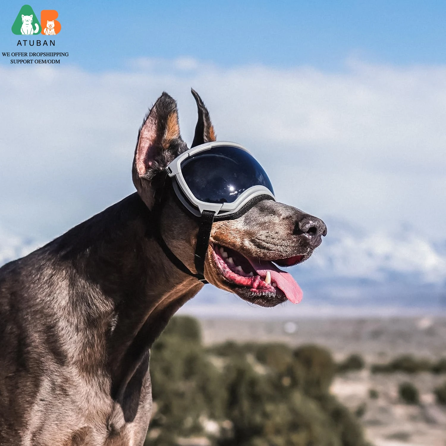 Gafas para perros Gafas de sol para perros Gafas de esquí para perros con protección UV Gafas de sol para mascotas con correa ajustable para viajes - imagen 3