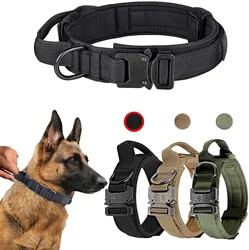 Collar nailon entrenamiento – Hebilla metal para perros medianos y grandes