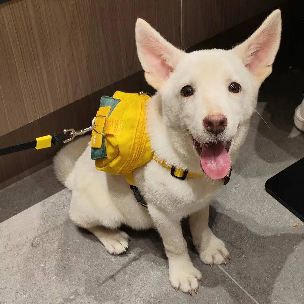 Arnés para perros con bolsa de premios pequeños, Shiba Inu y Corgi - imagen 4
