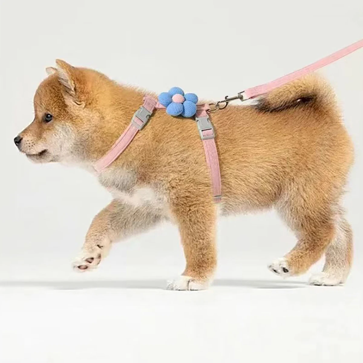 Arnés y correa ajustables para gatos y perros pequeños - imagen 5