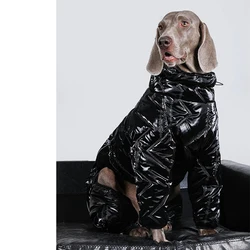 Chaqueta impermeable cuelloalto para perros grandes - Labrador Golden Retriever
