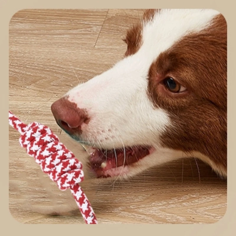 Cuerda de hueso para masticar trenzada de algodón, juguete duradero para la dentición de cachorros de 27CM para perros pequeños, limpieza Dental y herramienta divertida para masticar - imagen 4