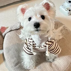 Sudadera con capucha a rayas para perro pequeño – Abrigo Teddy