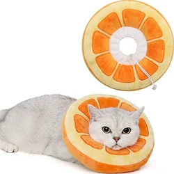 Collar postoperatorio para gatos – Protección de heridas postcirugía