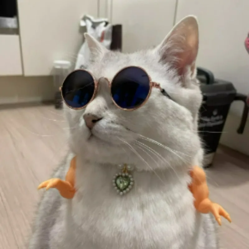 Nueva decoración de brazo de pollo, decoración de extremidades de pollo, parodia de dinosaurio, accesorios para mascotas, decoración de Manor de brazo de pollo - imagen 2