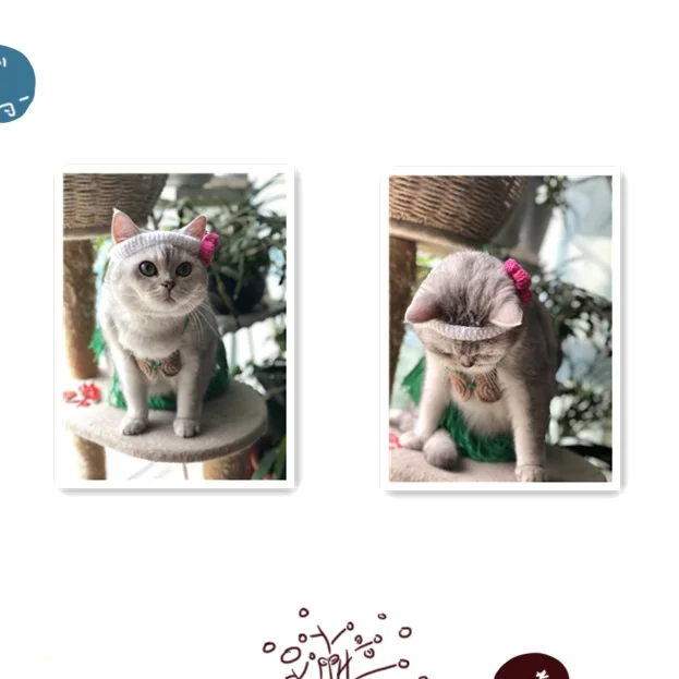 เครื่องแต่งกายสัตว์เลี้ยงแมวบิกินี่ Headwear ฟางกระโปรง Handwoven ขนสัตว์แมว Headwear 3ชิ้นชุดเสื้อผ้าเครื่องแต่งกายลูกสุนัขเสื้อผ้า - imagen 3