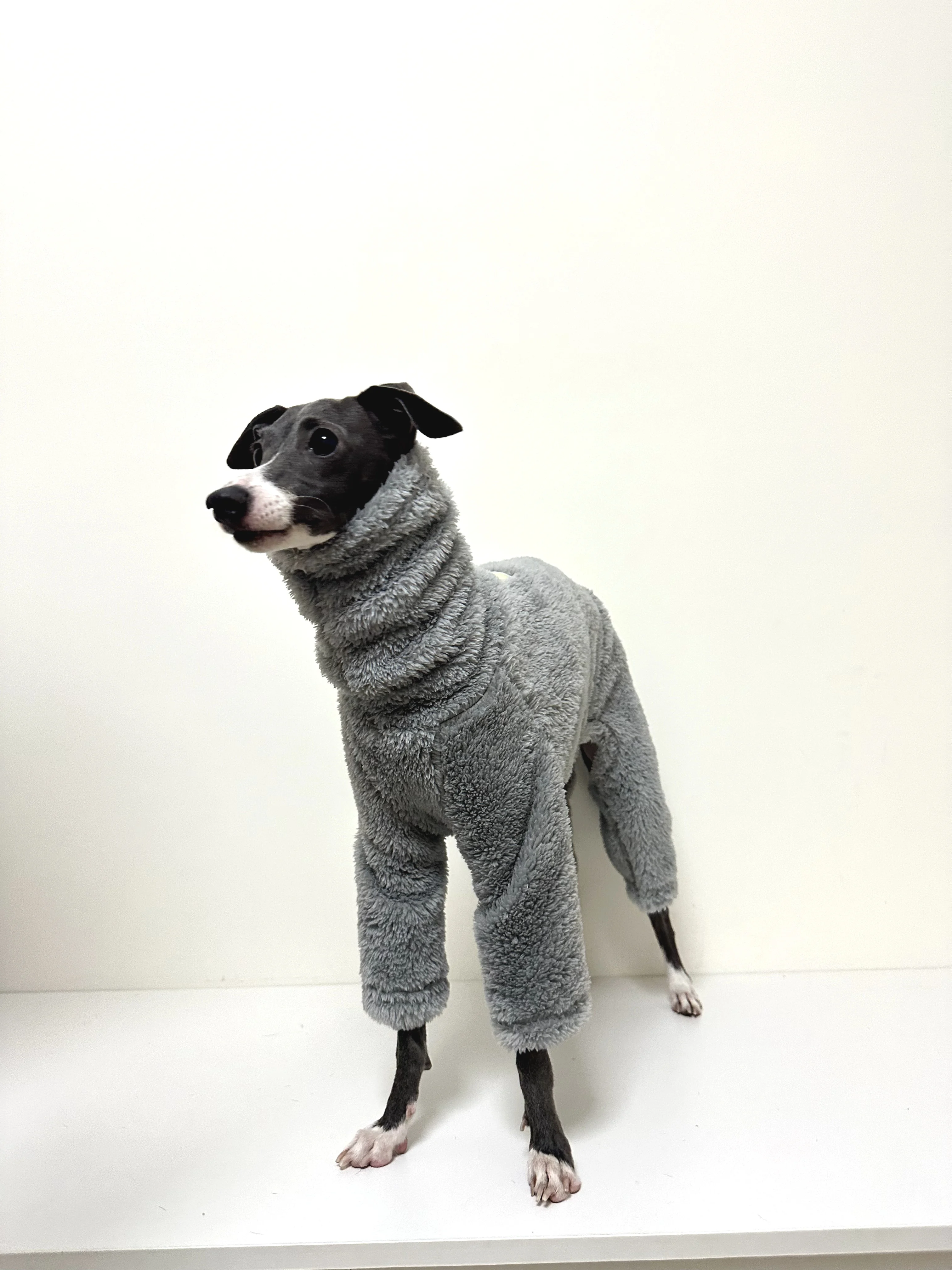 Ropa gris de doble cara para perro galgo italiano, abrigo de lana cálido con cuello alto para perro, pijama Whippet Jammies, mono en invierno - imagen 5