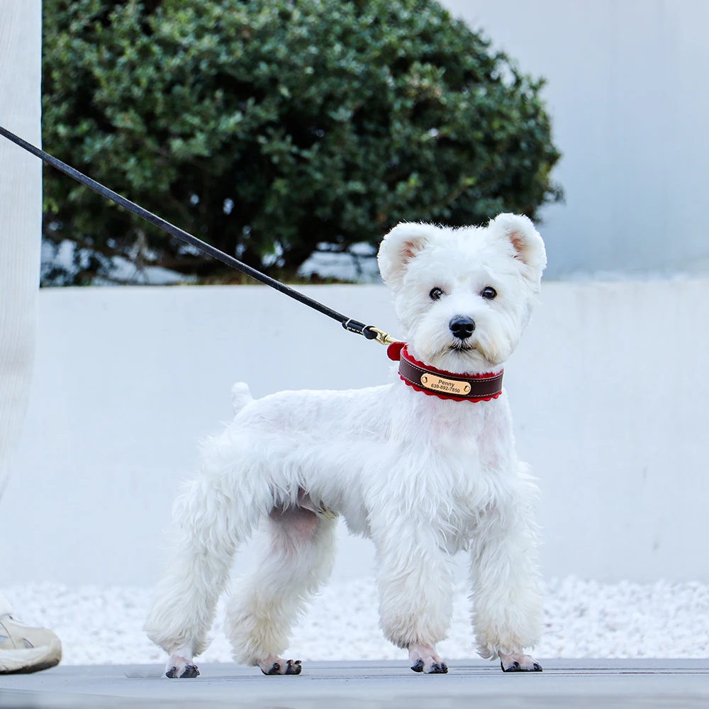 Collar de cuero personalizado para perros pequeños y medianos, Collar de identificación de mascotas, acolchado suave, ajustable, Bulldog - imagen 5