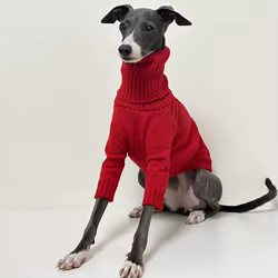 Ropa de invierno para galgo italiano - cuello alto rojo y suave