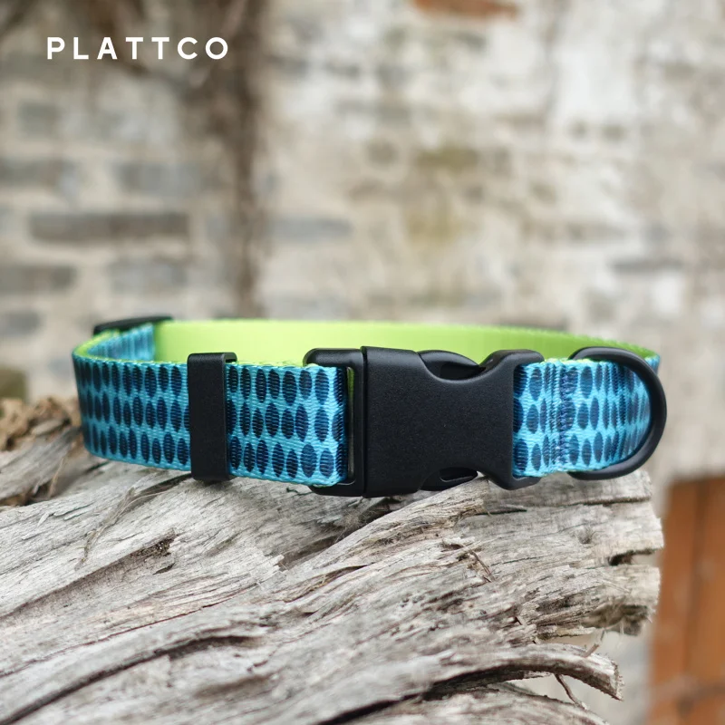 PLATTCO color del collar para mascotas nuevo collar para perros de tinta verde personalizado comercio exterior 5 tamaños PDC320 - imagen 2