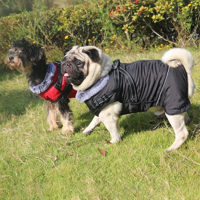 Ropa impermeable para perros con arnés para perros medianos y grandes, Collar de piel cálido para invierno, chaqueta para perros, disfraz reflectante de Bulldog Francés - imagen 2
