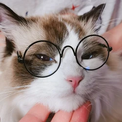 Gafas de sol redondas Vintage para gatos y perros - reflectantes