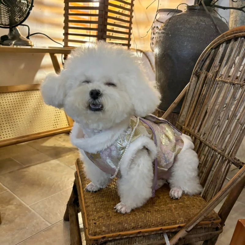 Abrigo bordado con cuello de piel para mascotas, ropa cálida de estilo chino, sombrero de conejo de piel, bolsa de perlas, ropa para mascotas, otoño e invierno - imagen 2