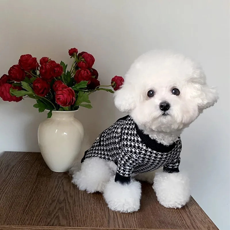 Suéter de punto para mascotas, camisa inferior con botones de perlas, gatito, gato, oso de peluche, ropa de perro Yorkshire para perros pequeños, cachorro, Otoño e Invierno - imagen 5