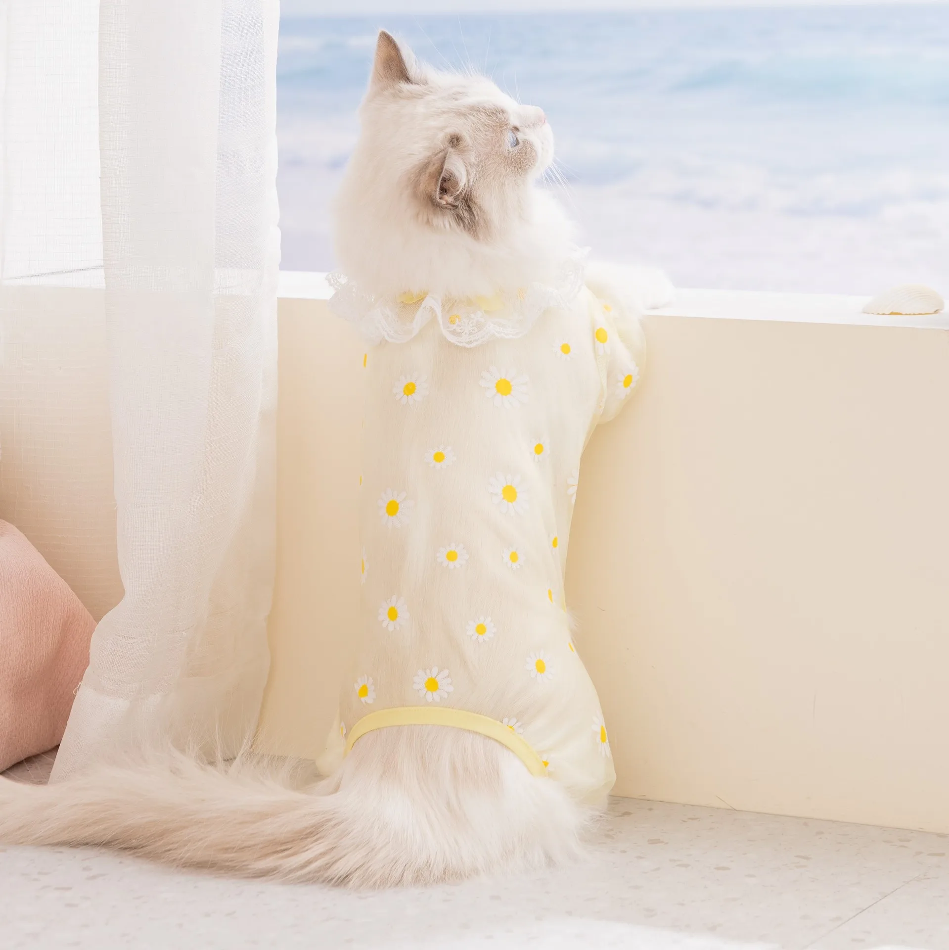 Pantalones de 4 patas para perros y gatos: ropa cómoda - imagen 5