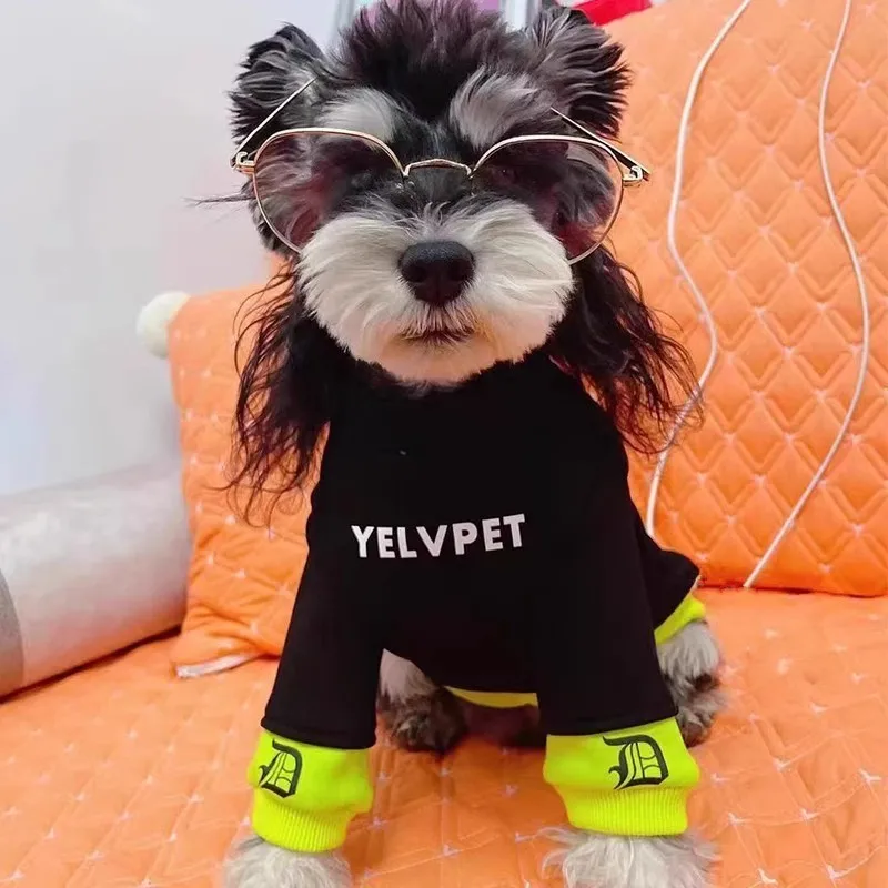 Sudaderas con capucha para perros pequeños, ropa cálida para perros, abrigo para perros con letras de moda, Schnauzer Ragdoll, gato azul, Chihuahua Otoño Invierno - imagen 3