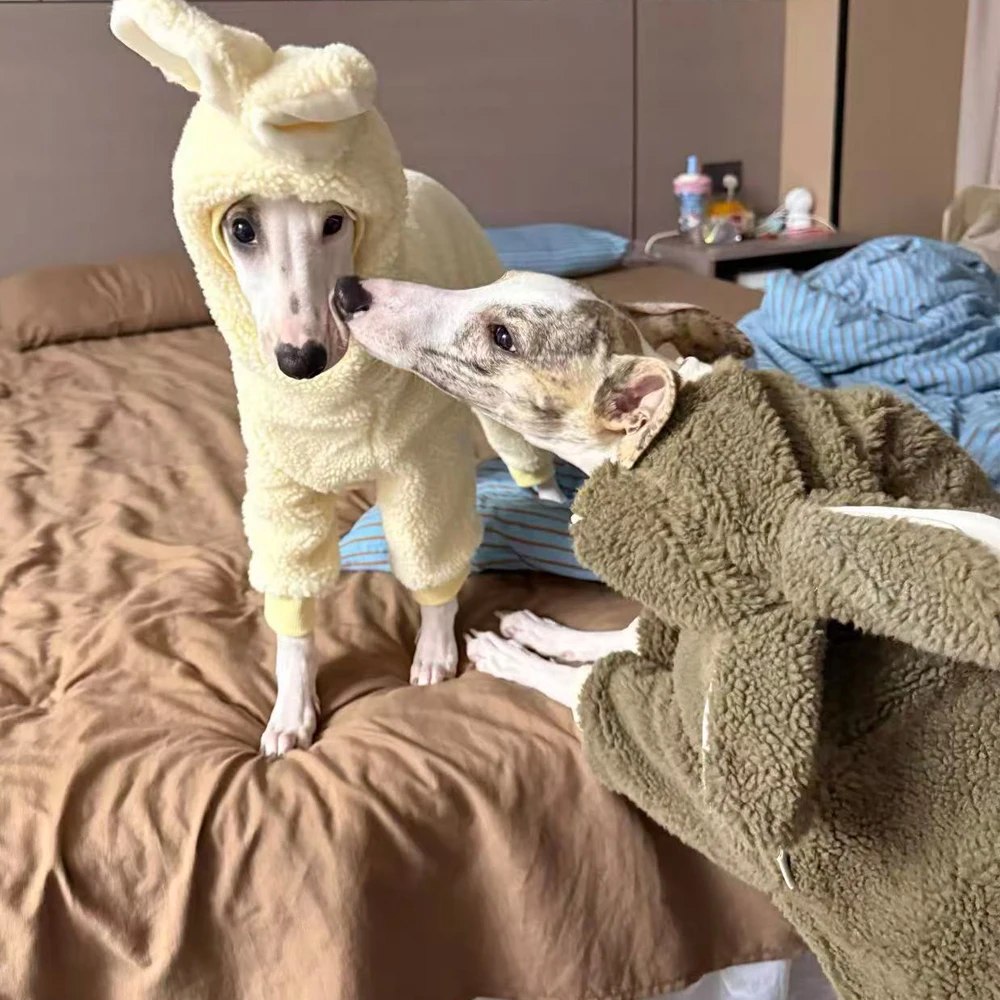 Ropa para perros: capucha y orejas de conejo para galgo italiano - imagen 3
