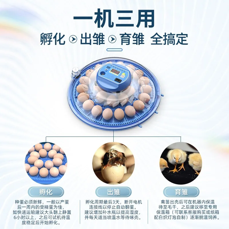 Incubadora doméstica automática pequeña para huevos de loros y aves - imagen 4
