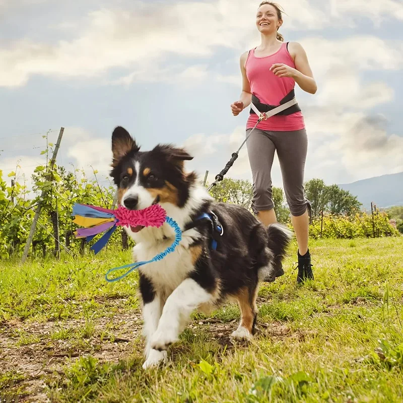 Juguete extractor de cachorros para perros, juguetes chirriantes, juguetes de peluche para perros, juguetes de peluche suave con nudos de cuerdas para perros para diversión y limpieza de dientes - imagen 3