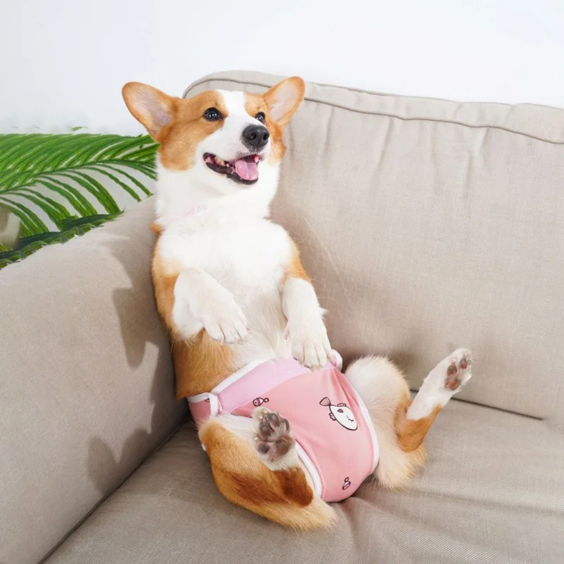 Ropa para perros pequeños, pantalones cortos suaves 100% de algodón para mascotas con correa, ropa interior ajustable para perros, traje para uso doméstico, pañales para perros - imagen 4
