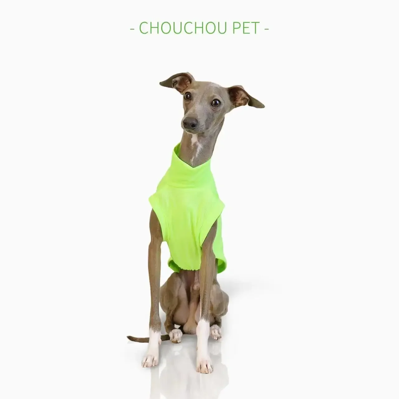 Iggy-Chaleco transpirable para perros pequeños y medianos, ropa para mascotas, protección solar al aire libre, fresco y cómodo, Verano - imagen 5