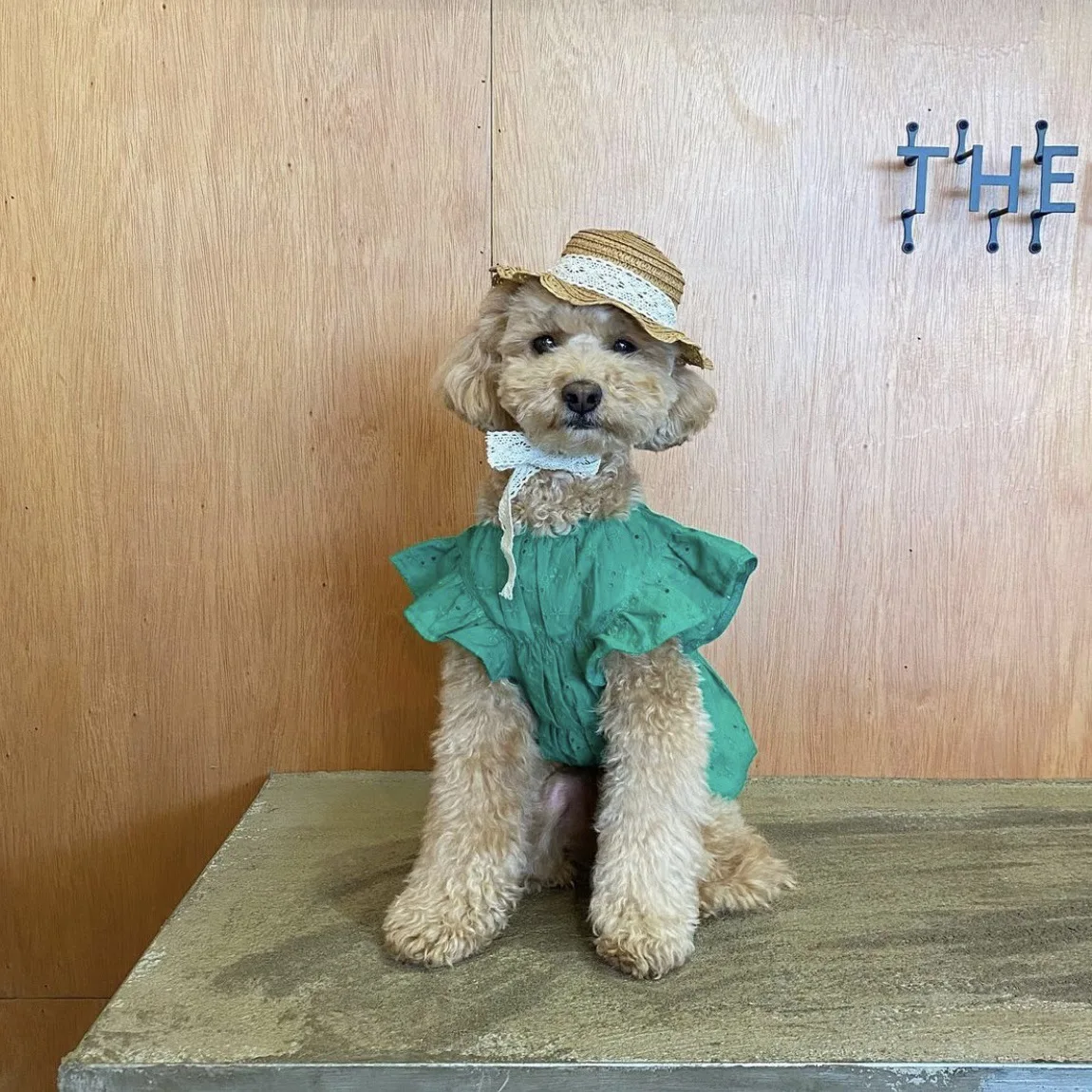 828f980d5f5aefdfba15b233d2e46c