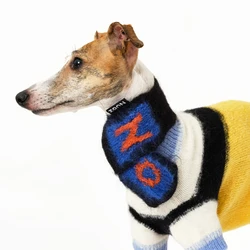 Jersey de punto para perro pequeño con bufanda – Cálido para invierno