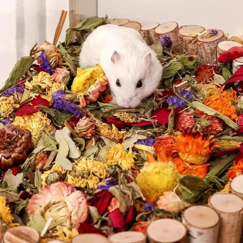 Ropa de cama para hámster, ropa de cama de jerbos con flores secas naturales, caja de Control de olores, decoración de hábitat para conejos, gerbos u otros pequeños - imagen 2